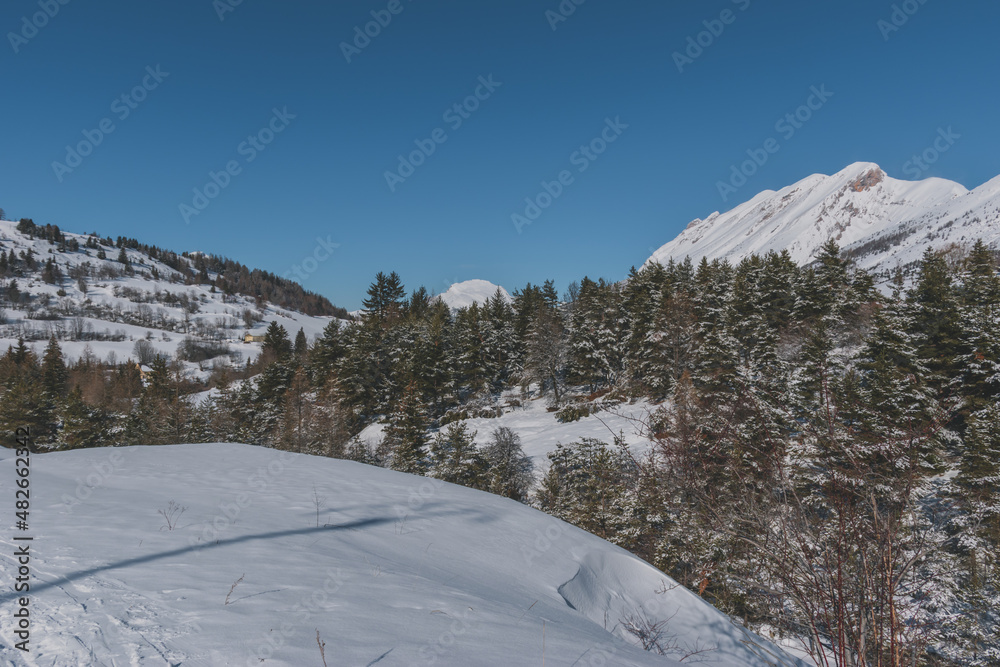 A picturesque landscape view of the French Alps mountains and tall pine trees covered in snow on a cold winter day (the Devoluy valley)