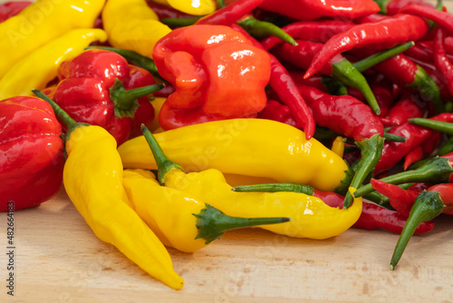 Different sorts of red, orange and yellow hot chili peppers from low angle photo