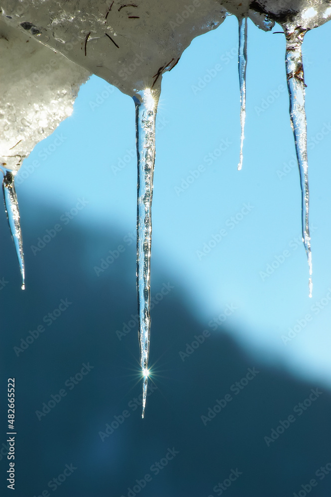 Close-up of melting icicles on blue background Close-up of melting icicles on blue background