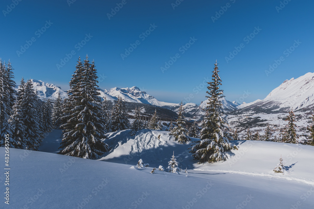 A picturesque landscape view of the French Alps mountains and tall pine trees covered in snow on a cold winter day (the Devoluy valley)