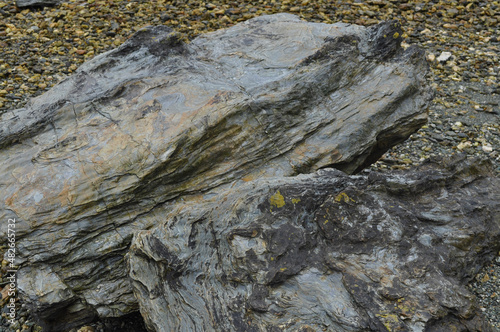 wall