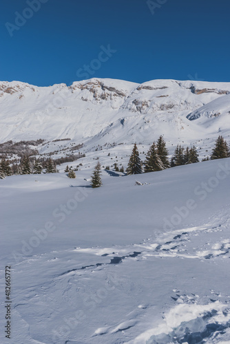 A picturesque landscape view of the French Alps mountains and tall pine trees covered in snow on a cold winter day (the Devoluy valley)