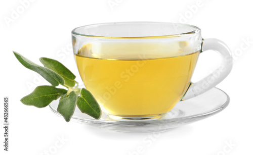 Cup of aromatic sage tea and fresh leaves isolated on white