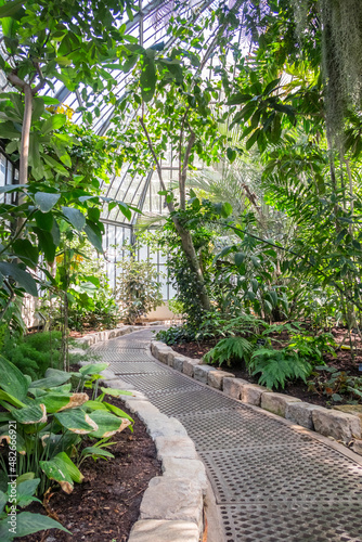 intérieur d'une serre avec des plantes et des arbres verts
