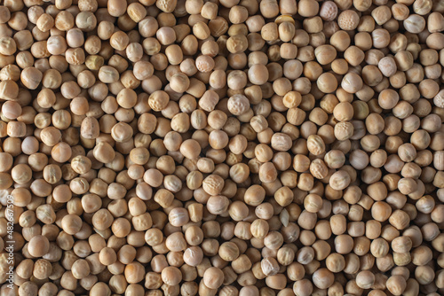 Dry pea grains close up