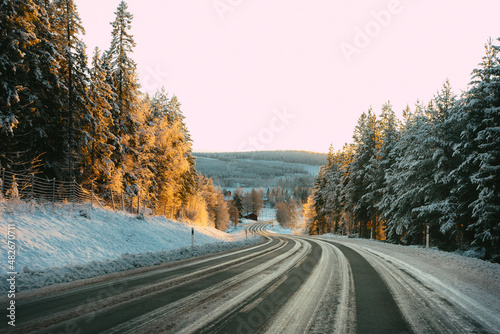 Forest road in the winter © sussie_es