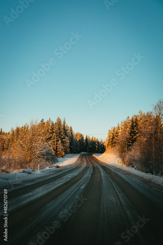 Forest road in the winter