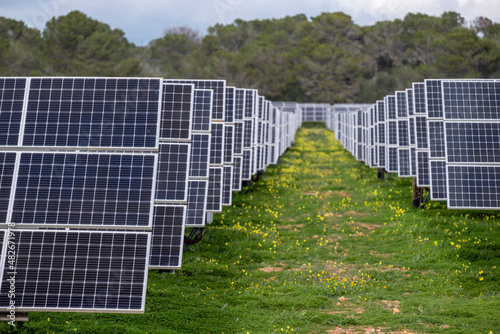 Sa Caseta Parc Fotovoltaic, solar energy plates, Llucmajor, Mallorca, Balearic Islands, Spain photo