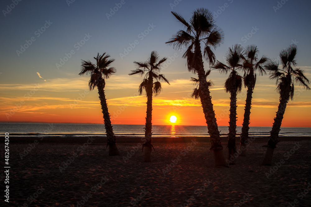 Landscape six with palm trees at sunrise on the beach.