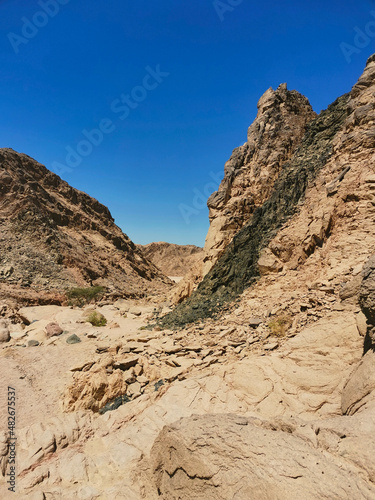 the valley of a dried-up river in the desert