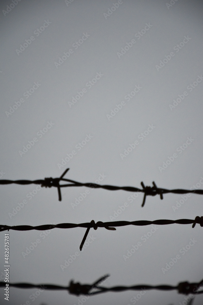 barbed wire on the wall. close-up barbed wire. barbed wire on the wall. close-up barbed wire.