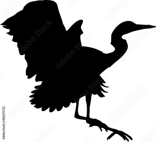 Silhouette de Héron cendré en vol. Vecteur avec fond transparent 