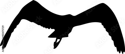 Silhouette de Héron cendré en vol. Vecteur avec fond transparent 