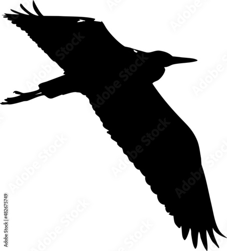 Silhouette de Héron cendré en vol. Vecteur avec fond transparent 