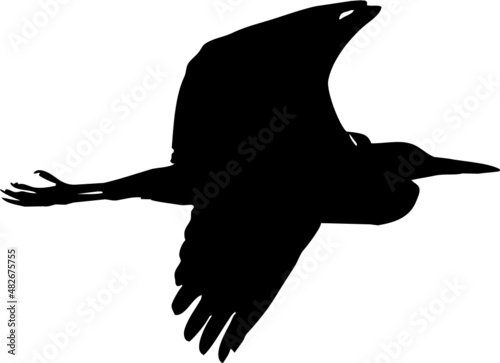 Silhouette de Héron cendré en vol. Vecteur avec fond transparent 