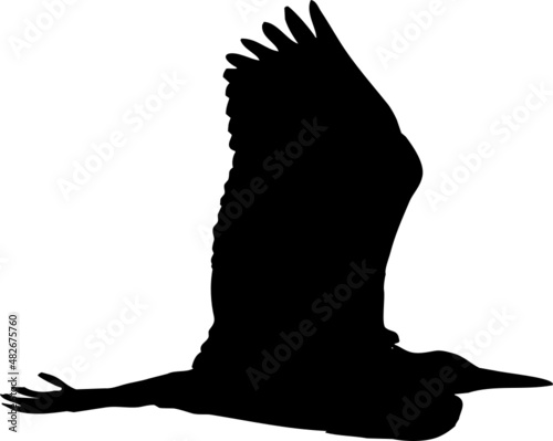 Silhouette de Héron cendré en vol. Vecteur avec fond transparent 
