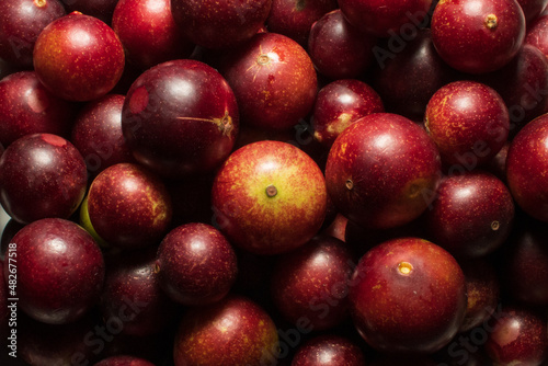 Camu camu fruits, an exotic plant from the Amazon, used in the preparation of various inputs, such as soft drinks, sweets, etc., it is very common to find it in the city of Iquitos in Peru, it is brou photo