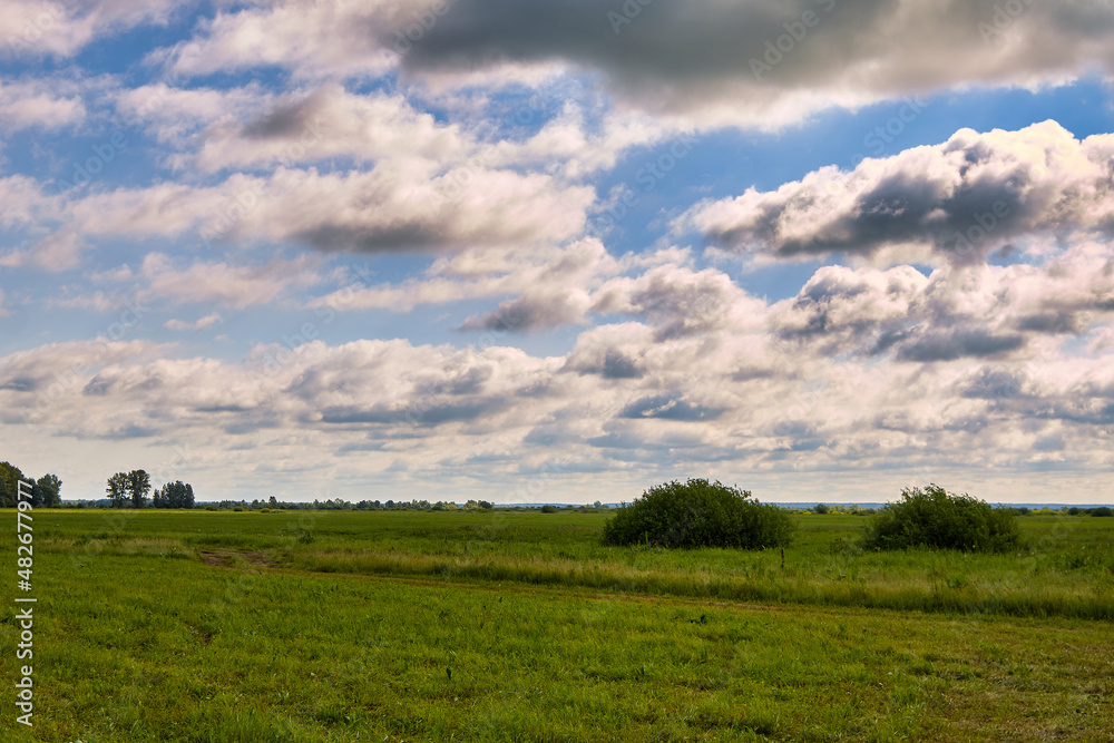 Beautiful outdoor landscape with blue sky, clouds and green grass field in the morning.
