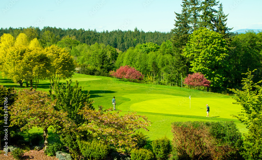 Golfers on Scenic Golf course at Victoria, Canada. On a beautiful spring day. Vancouver Island is temperate enough for year round golfing.