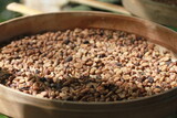 Luwak Coffee beans drying on woven basket.