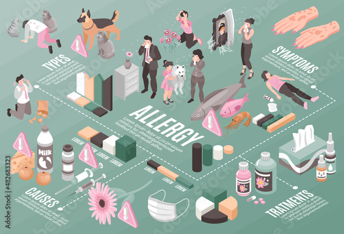 Isometric Allergy Infographic Composition