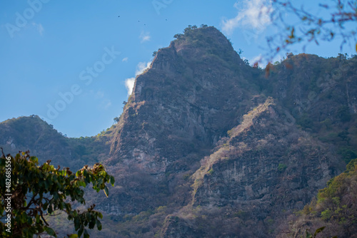 cerro con arboles secos 