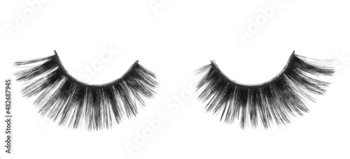 Black false eyelashes isolated on white  clipping path