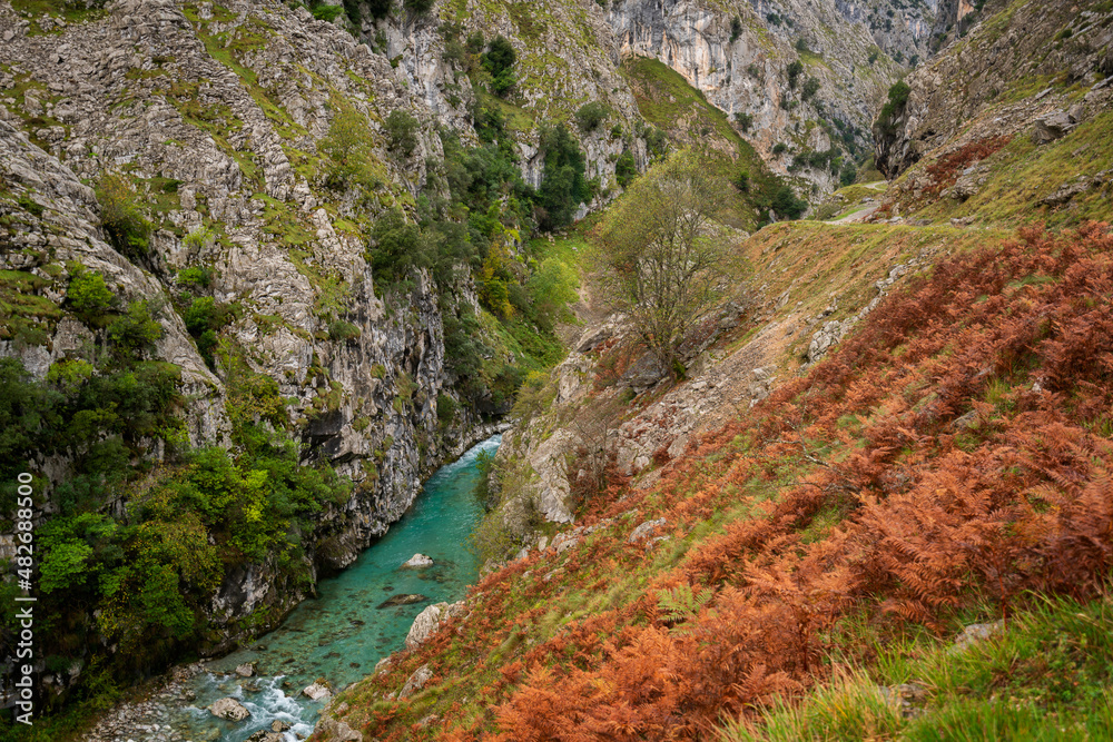 Ruta del Cares trail nature landscape in Picos de Europa national park, Spain Ruta del Cares trail nature landscape in Picos de Europa national park, Spain