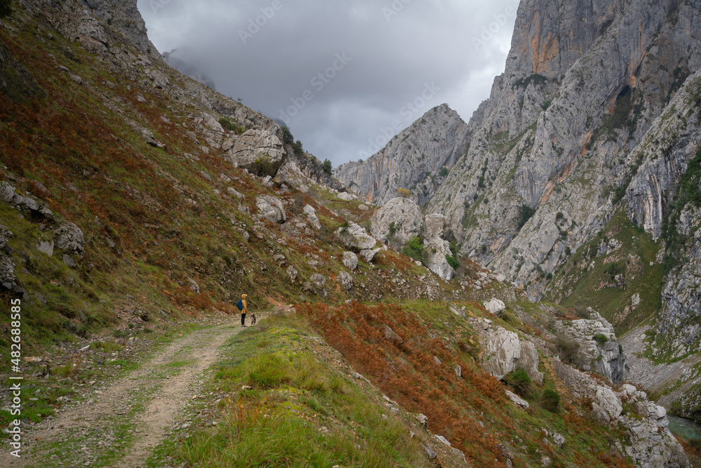 Woman with a yellow jacket and a dog walking on Ruta del Cares Trail in Picos de Europa national park, Spain