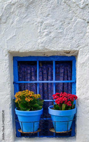 Small window with blue frame and curtain decorated with two flower pots © Miguel Ángel RM
