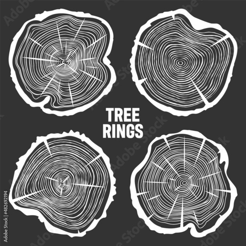 White round tree trunk cuts with cracks, sawn pine or oak slices, lumber. Saw cut timber, wood. Wooden texture with tree rings. Hand drawn sketch. Vector illustration