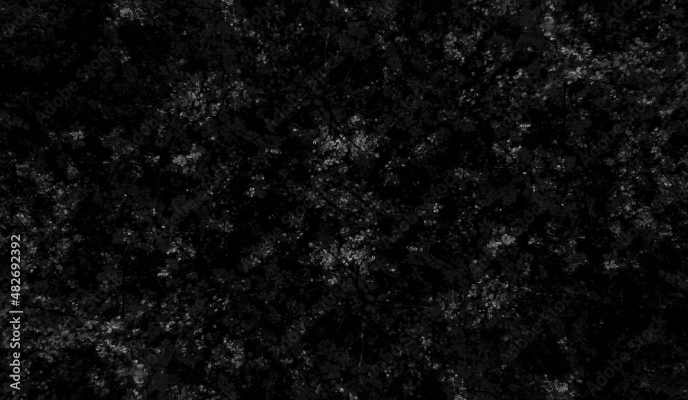 Obraz premium Czarny kamień tło
