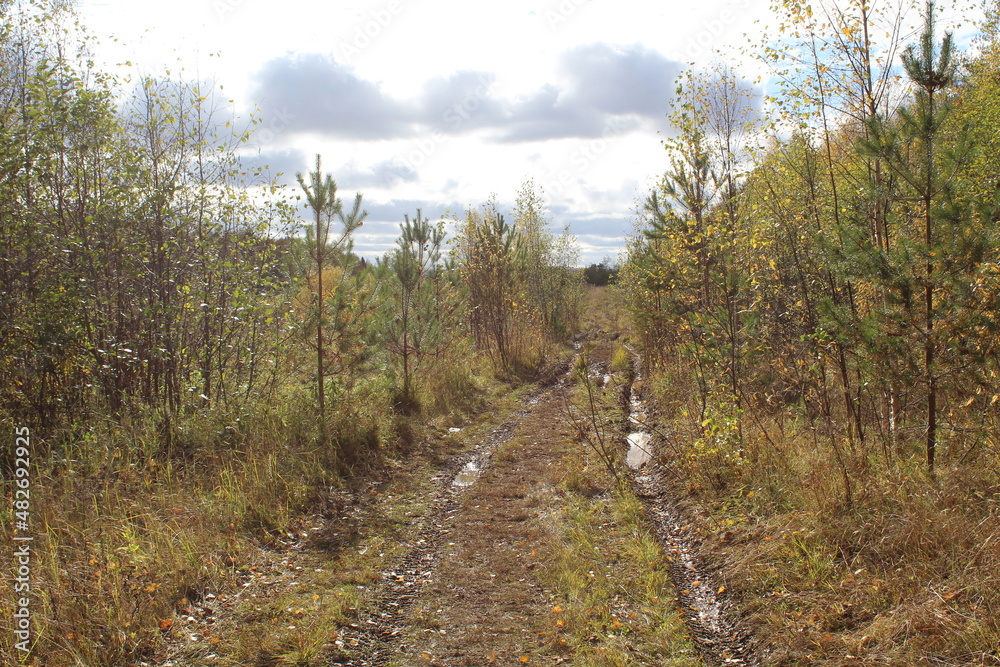 Fototapeta premium path in the mountains