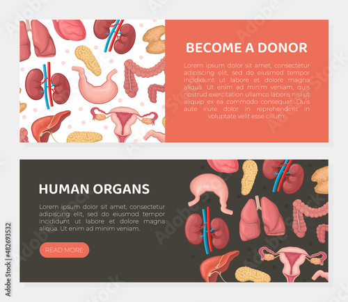 Human organs horizontal web banners set. Become a donor, transplantology landing page, website interface
