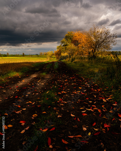 Die fallenden Blätter
