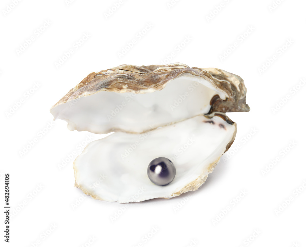 Open oyster shell with black pearl on white background Open oyster shell with black pearl on white background