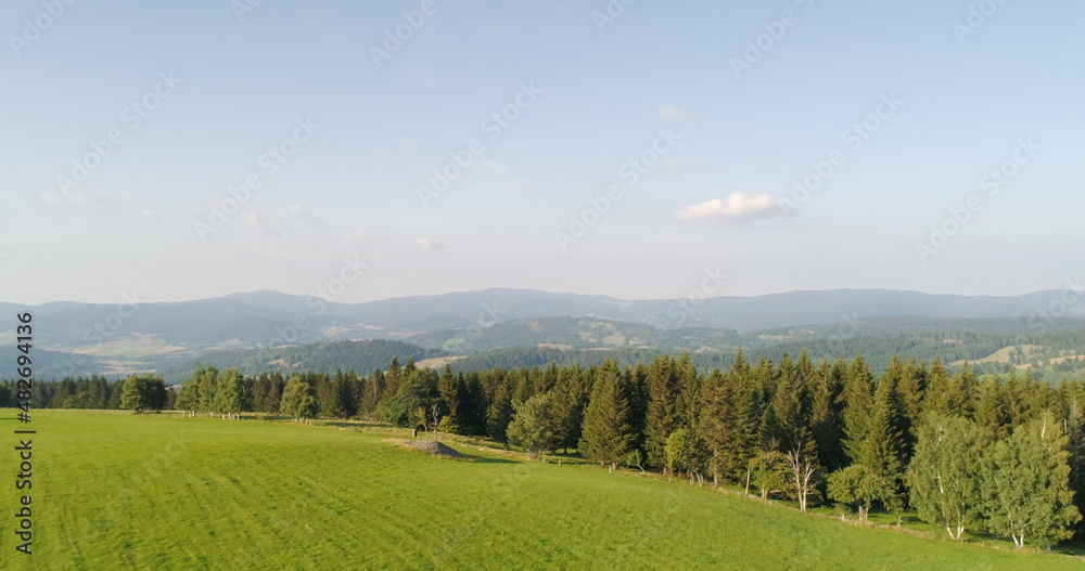 Beautiful View of Forest and Fields Aerial