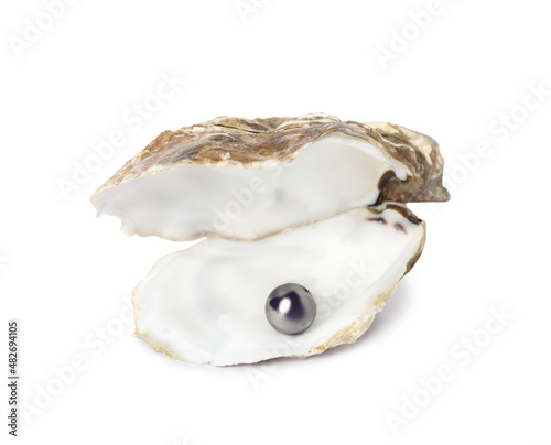 Open oyster shell with black pearl on white background