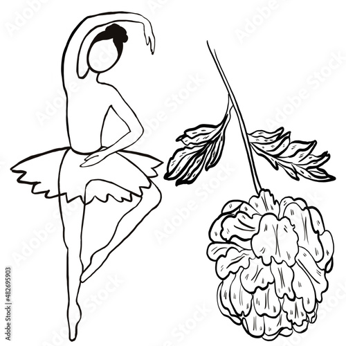 ballerina,peony,flower,sport,dance,botany,beauty,inspiration,hearts,love,art,pink,lettuce,purple,beige,ballet,tutu ballet,ballerina in pose,beauty,,postcard,invitation,packing tag,wrapping paper,birth