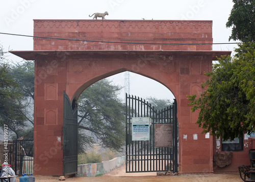 Photography Main entrance gate of Jhalana Leopard Reserve, Jaipur