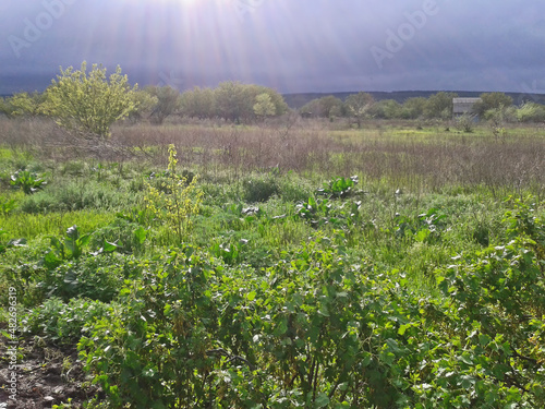 After a spring storm.Composition 1.