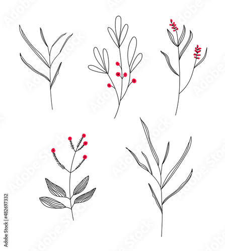 Fototapeta Naklejka Na Ścianę i Meble -  A set of plants in the style of line art with red berries.