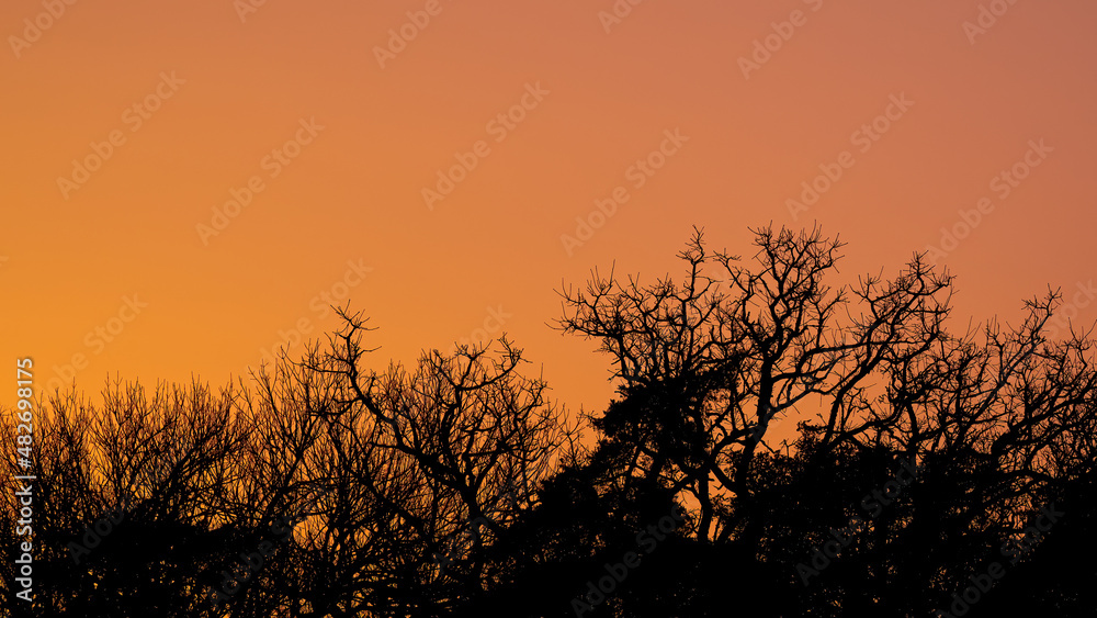 Sunset, golden hour! Sunset, golden hour!