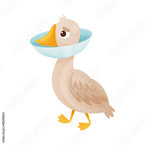 Sick goose with protective veterinary collar cartoon vector illustration
