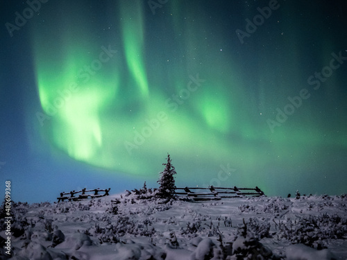 Aurora in the snowy mountains at night