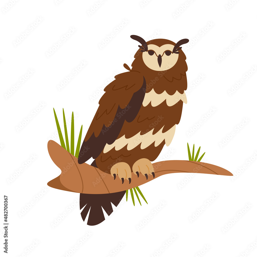 Fototapeta premium Eurasian eagle owl sitting at tree branch. Long eared owl design element. Isolated flat vector illustration.