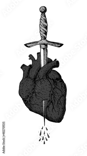 The human heart is pierced with a dagger. Hand drawn vector illustration. Tattoo print.