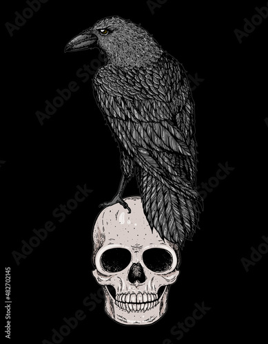 Skull and raven hand drawn illustration. Tattoo vintage print. Skull hand drawn print. Tattoo design. Raven sitting on a skull