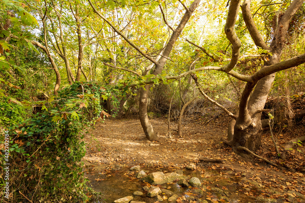 Beautiful creek in Penteli mountain near Athens, Greece. Beautiful creek in Penteli mountain near Athens, Greece.