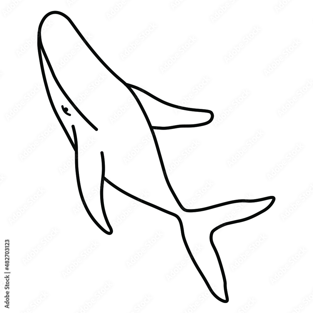 Humpback whale minimalist simple outline vector logo illustration. Isolated contour whale drawing on white background